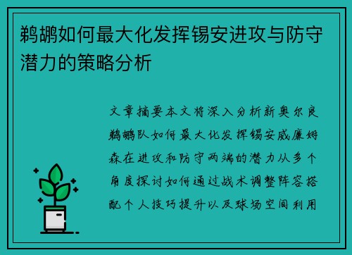 鹈鹕如何最大化发挥锡安进攻与防守潜力的策略分析